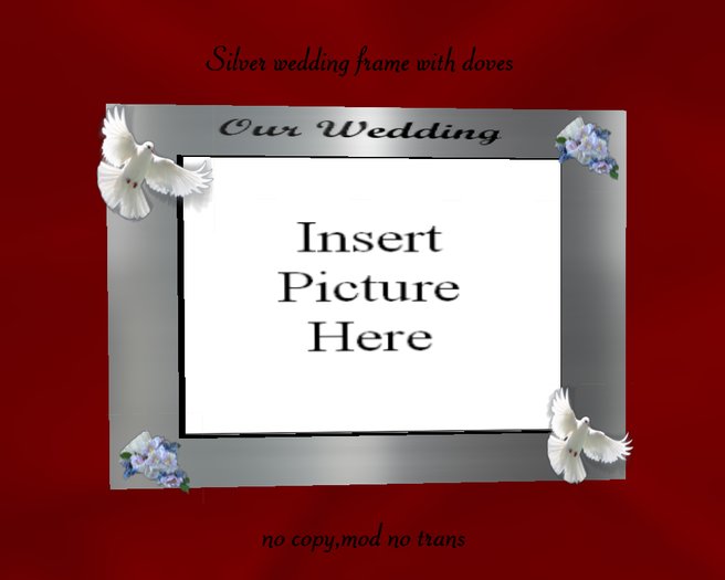 silver wedding frame with doves