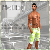 Mens Board shorts (Malibu 1)