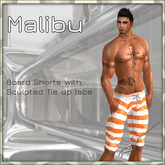 Mens Board shorts (Malibu 2)