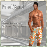Mens Board shorts (Malibu 4)