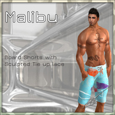 Mens Board shorts (Malibu 3)