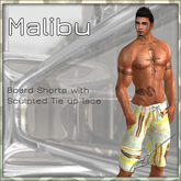 Mens Board shorts (Malibu 5)