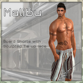 Mens Board shorts (Malibu 9)
