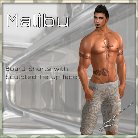 Mens Board shorts (Malibu 8)