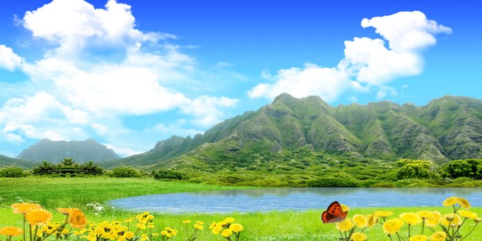Spring Mountains Privacy Screen 20x20 Alpha(Boxed)