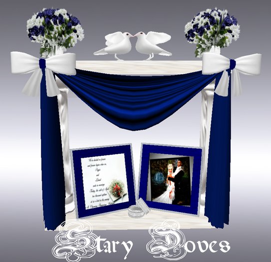 stary doves wedding invite 