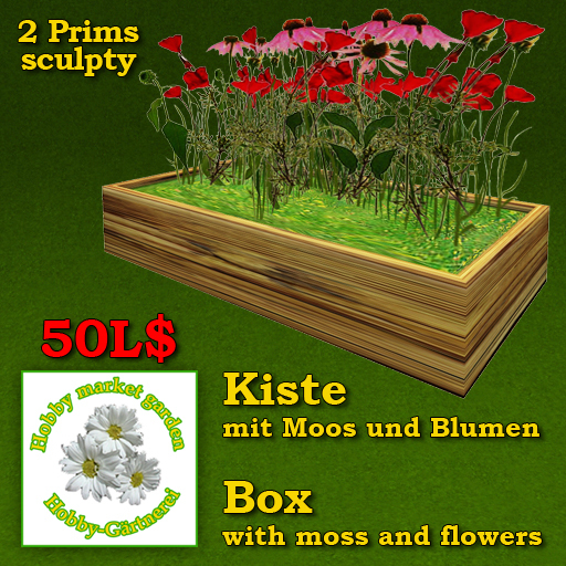 Box with moss and flowers