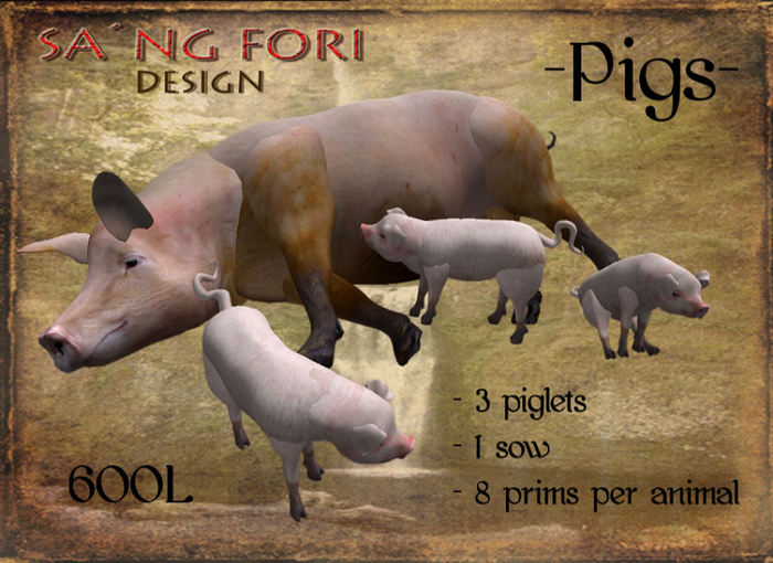 Pig