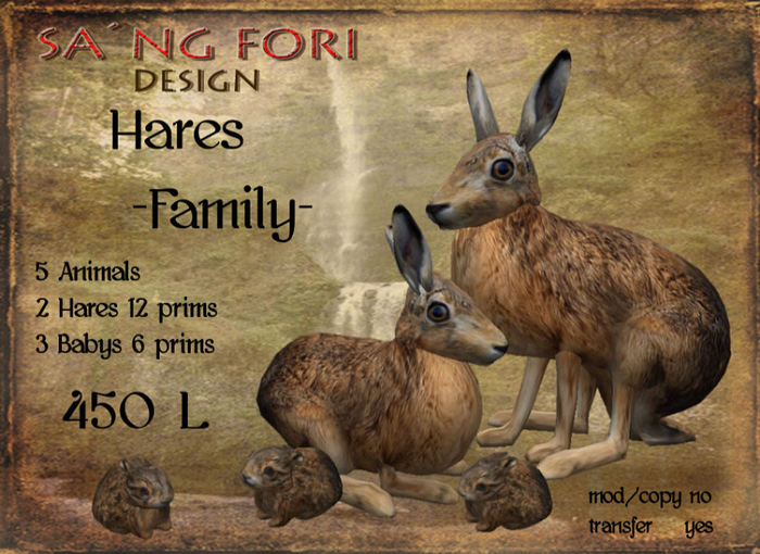 Hares Family