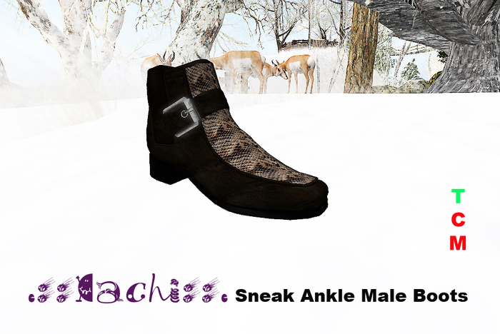 .::Cachi::. Reptile Ankle Male Boots -  Resizable