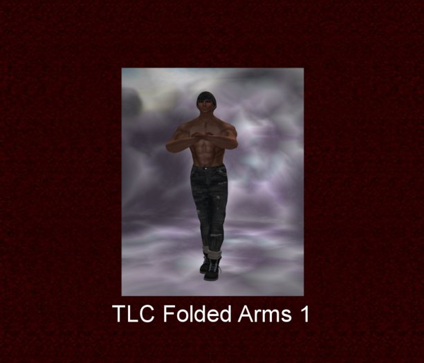 TLC Depot (box) Folded arms 1 pose
