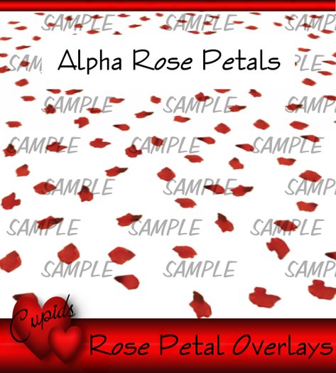 RosePetals cover