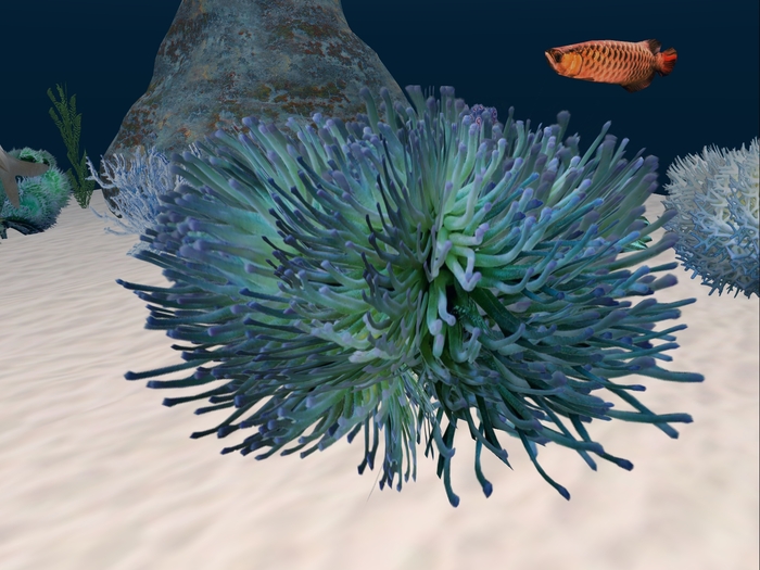 Underwater Plant 9