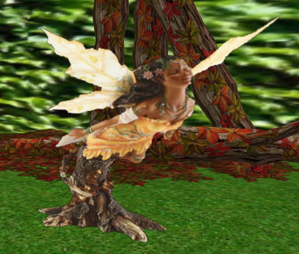 fairy volant