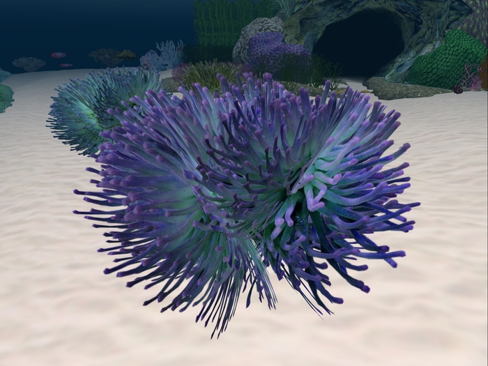 Underwater Plant 10