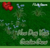 flower rez 7