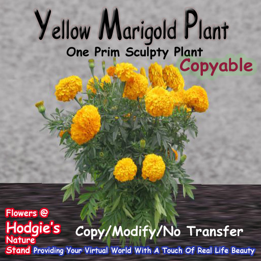 Hodgie's Flowers & Plants  --  Marigold (Large Yellow)(One Prim Sculpty Plant)(Copyable)