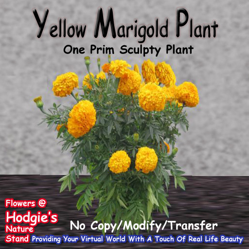 Hodgie's Flowers & Plants  --  Marigold (Large Yellow)((One Prim Sculpty Plant)