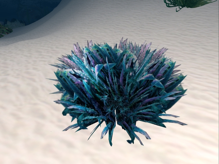 Blue & Purple Seaweed