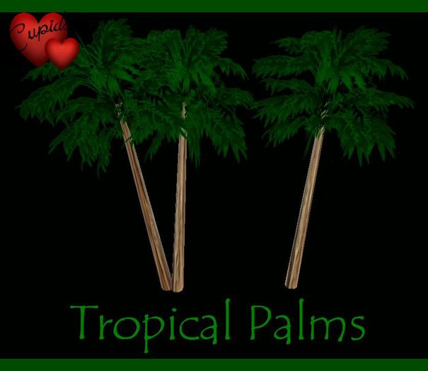 TROPICAL PALMS FLEXI