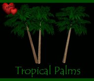 TROPICAL PALMS FLEXI