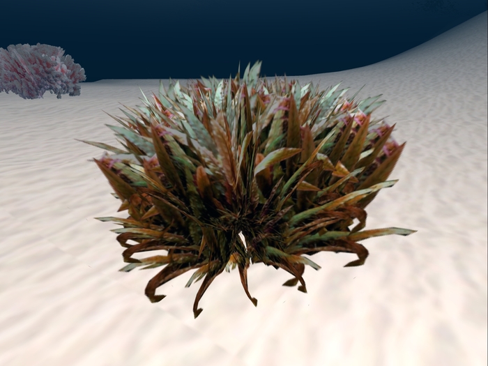 Orange & Green Seaweed
