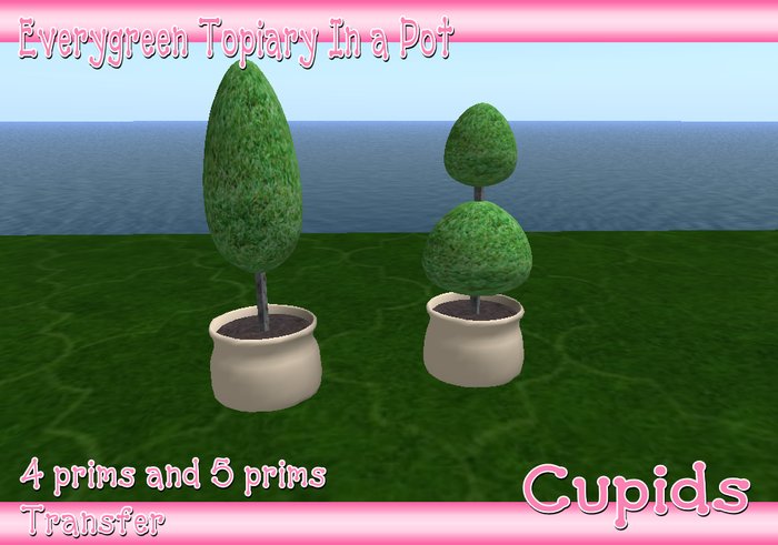 Everygreen Topiaries In a Pot