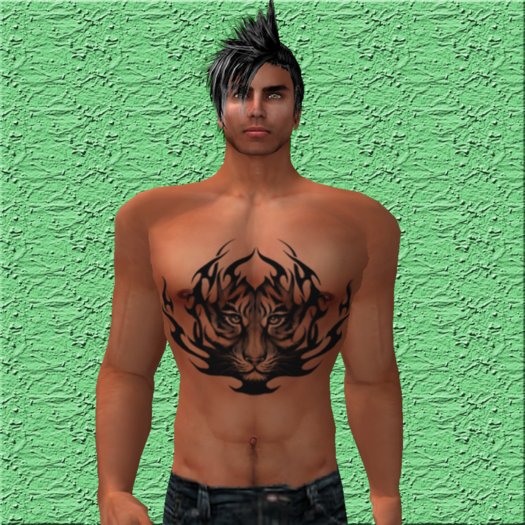 PS-Tiger chest Unisex