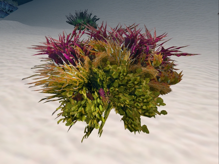 Ocean Plant 1, one prim, boxed.