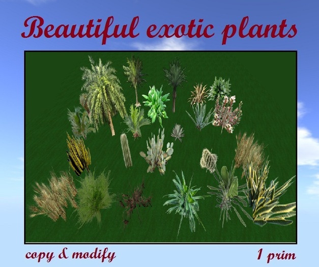 Beautiful Exotic Plants BOX