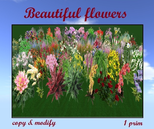Beautiful Flowers BOX