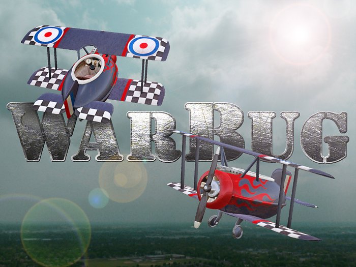 WarBug Airplane - Hotrod
