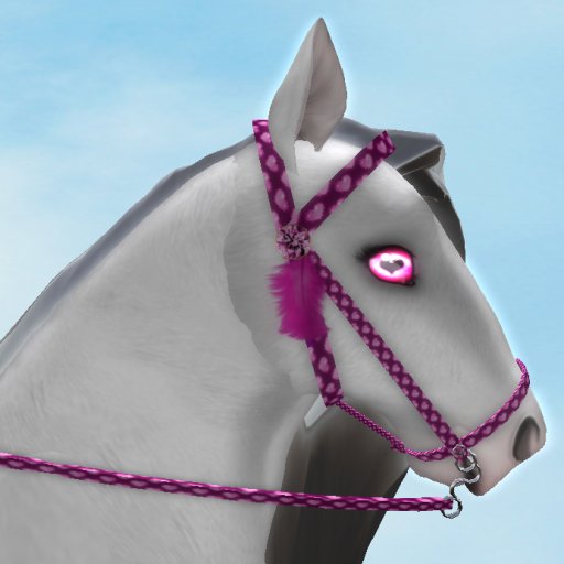 Night Breed Sweetheart Bridle(Boxed)