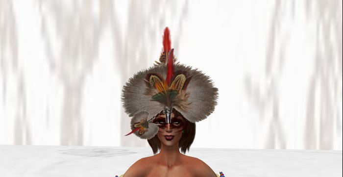 Box #4 Feather Mask MardiGrass