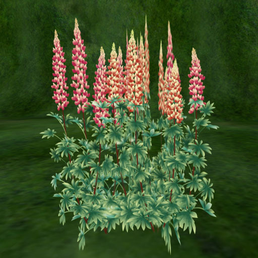 Lupin_somestock_Red (copy