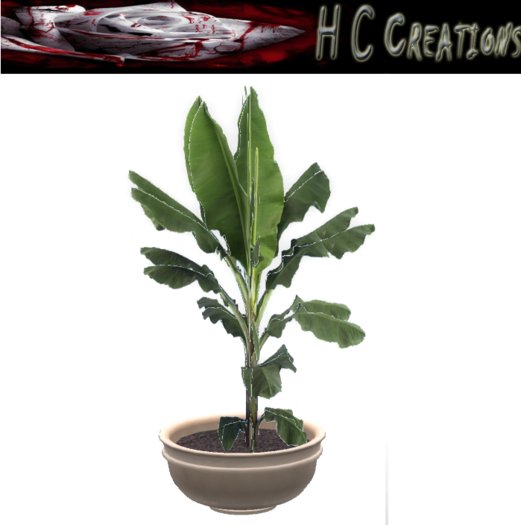 Promo! Dollarbie! HCC Plant15 BOX