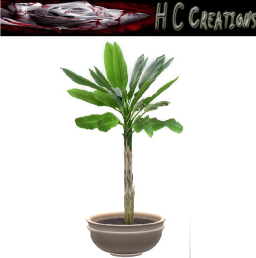 Promo! Dollarbie! HCC Plant11 BOX