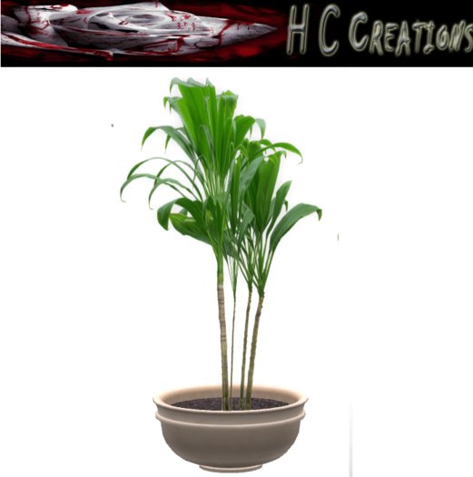 Promo! Dollarbie! HCC Plant12 BOX