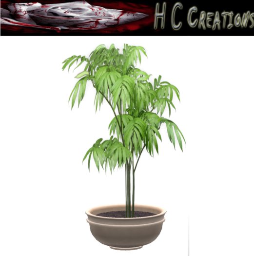 Promo! Dollarbie! HCC Plant13 BOX