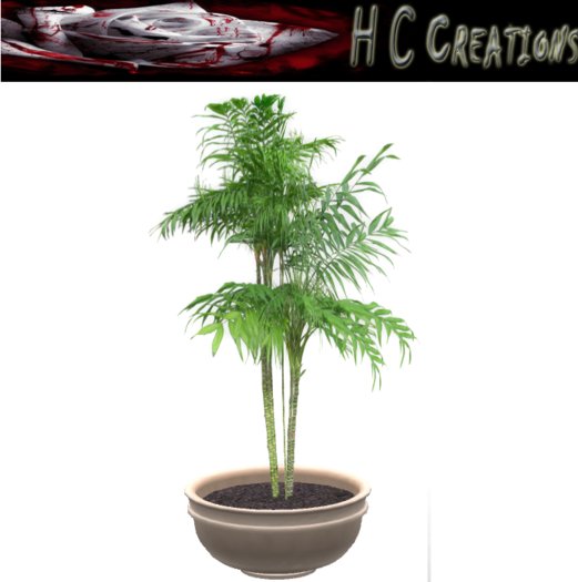 Promo! Dollarbie! HCC Plant14 BOX