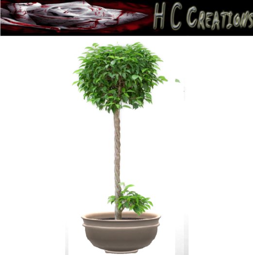 Promo! Dollarbie! HCC Plant9 BOX