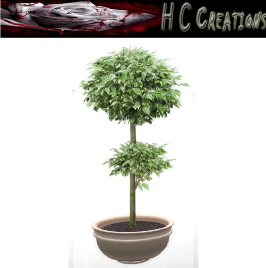 Promo! Dollarbie! HCC Plant8 BOX