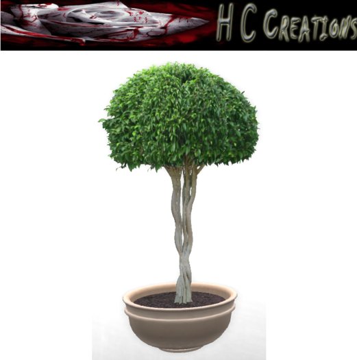 Promo! Dollarbie! HCC Plant7 BOX