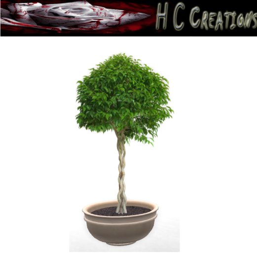 Promo! Dollarbie! HCC Plant6 BOX
