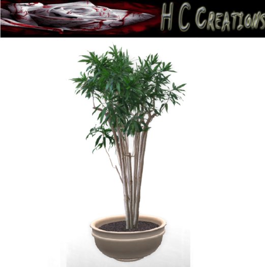 Promo! Dollarbie! HCC Plant5 BOX