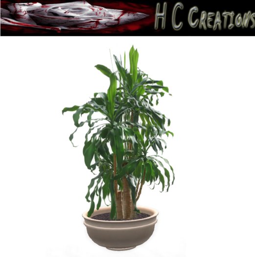 Promo! Dollarbie! HCC Plant1 BOX