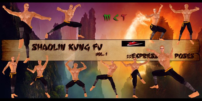 ::eXpression:: Poses - Martial Arts: Shaolin Kung Fu #1