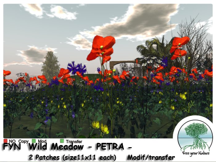 Box FYN - Wild Meadow - Petra -