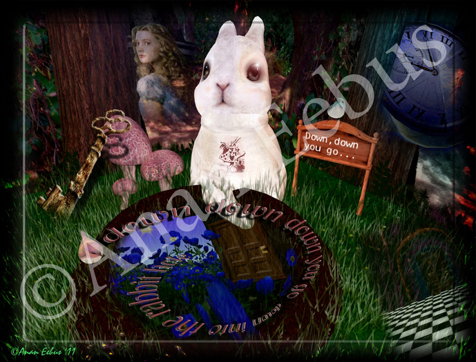 "down the rabbit hole" by Anan Eebus