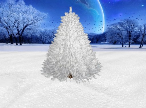 Frosty winter pine